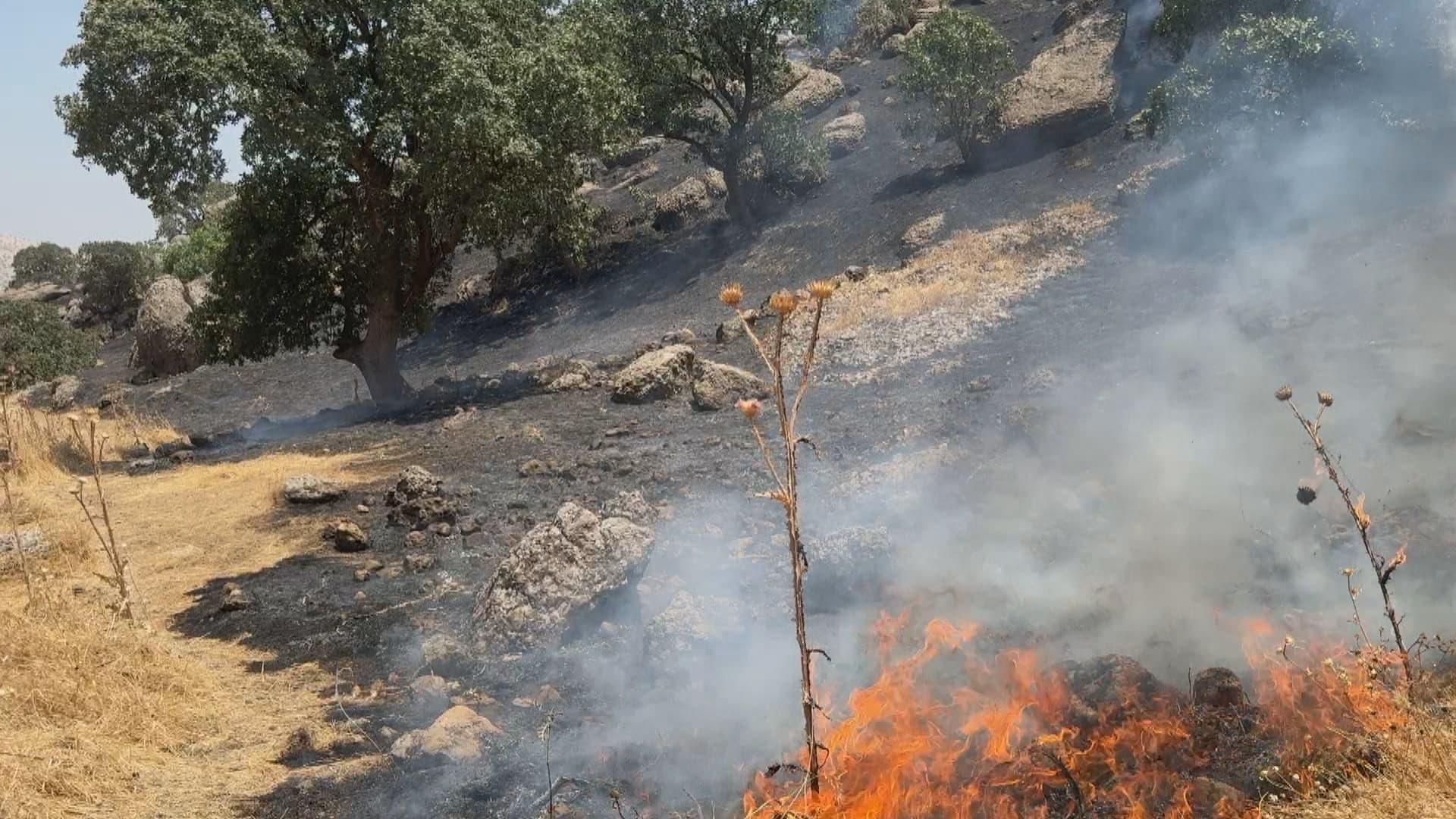 لە ئاگرەکەی ماوەت هەزار دۆنم زەوی سووتا، تەقینەوەی مین بۆ تیمەکان ئاستەنگن