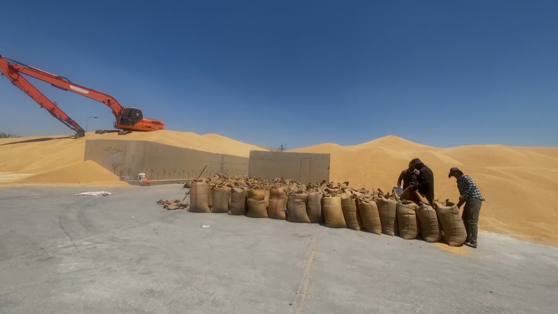 لە دهۆک 85%ـی گەنم لەسەر زەوی ماوەتەوە