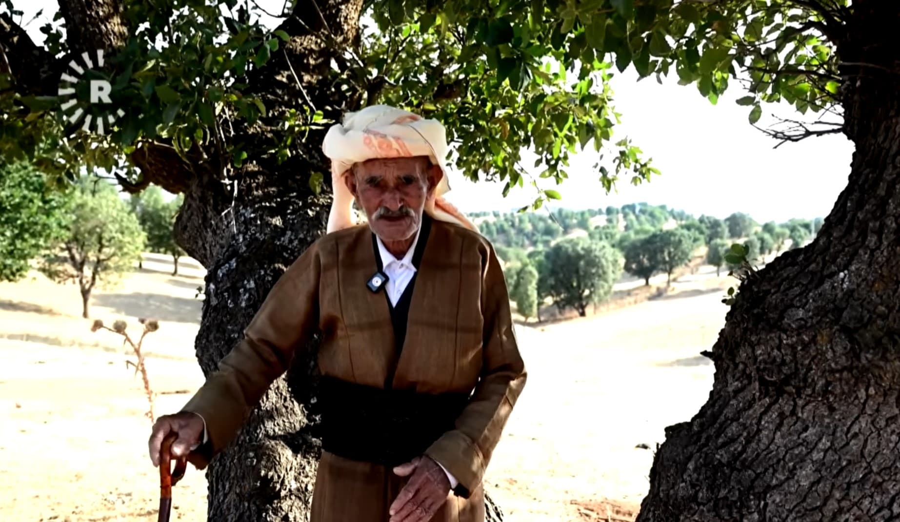 Ömrünü doğaya adadı: 100 yaşında, 90 yıldır 7 bin ağacı gözü gibi koruyor