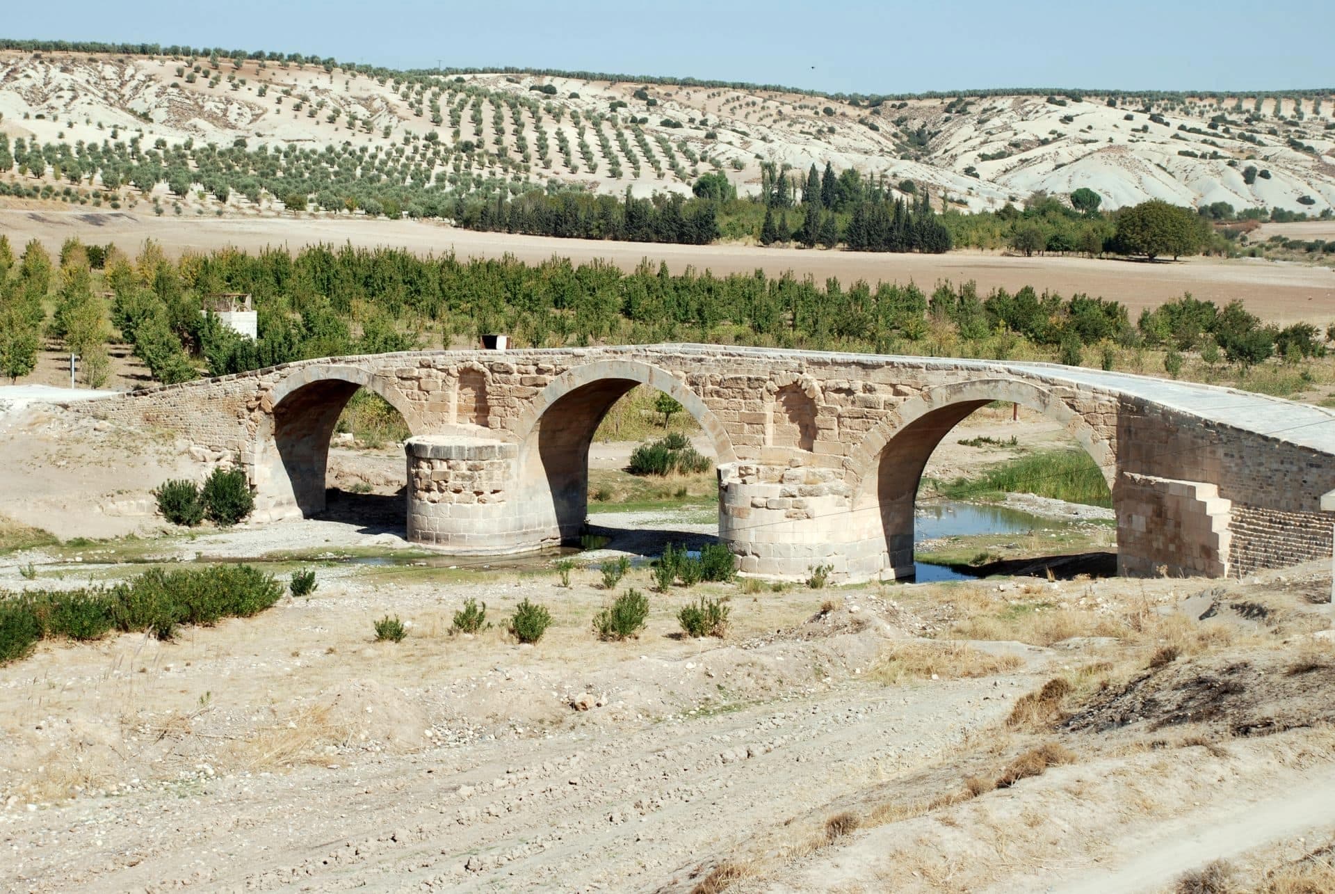 Sûriye: Parastina şûnwarên Efrînê ji bo me pêşîniyeke niştimanî ye