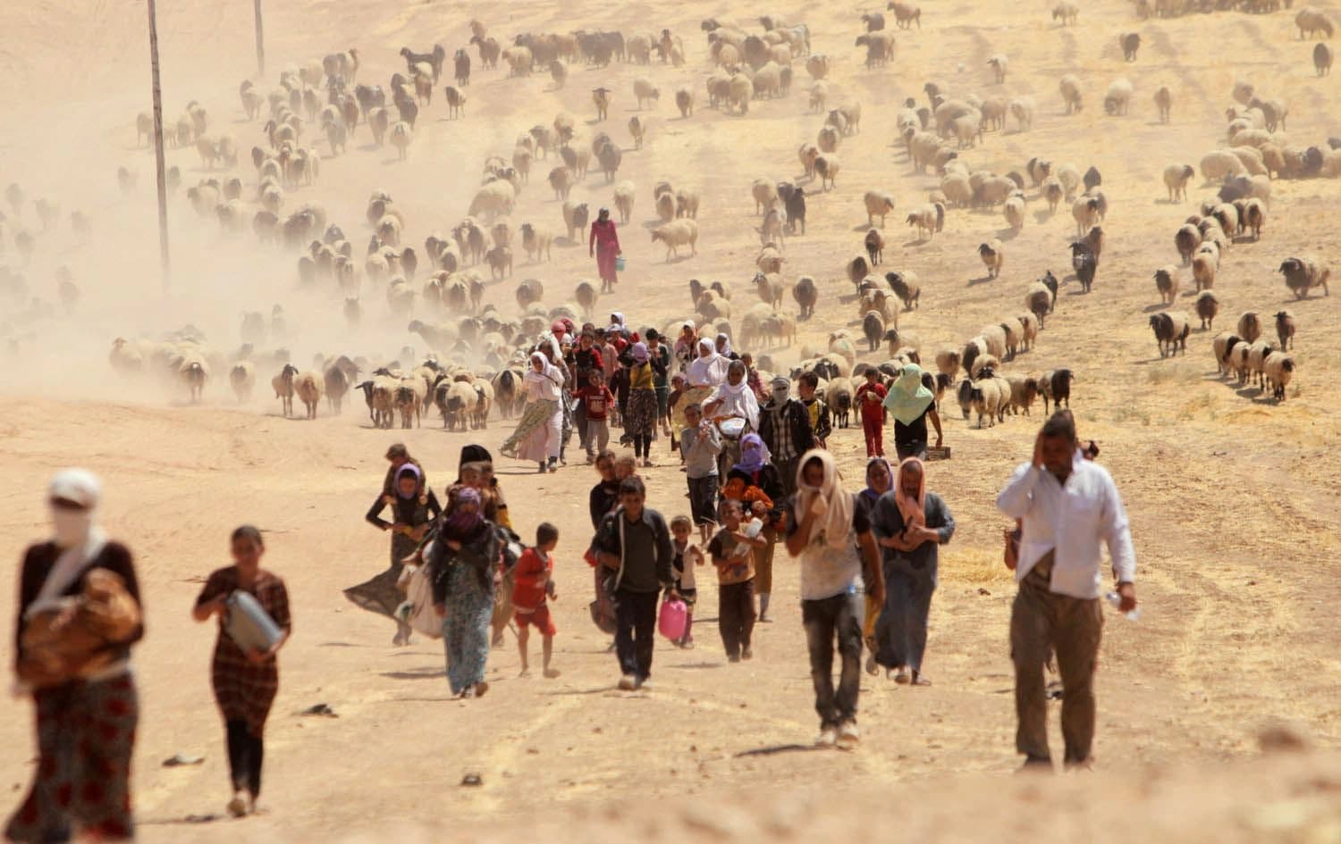 ست دول لرووداو: ندعم الإيزديين ونعمل على معاقبة المجرمين