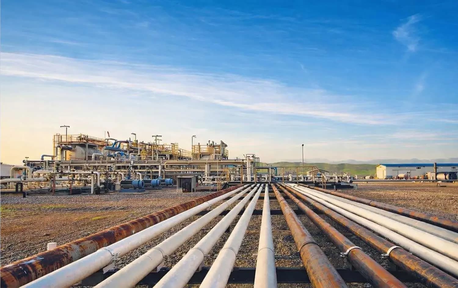 Daily production in Kurdistan Region at 273 barrels during second quarter of 2026: DNO
