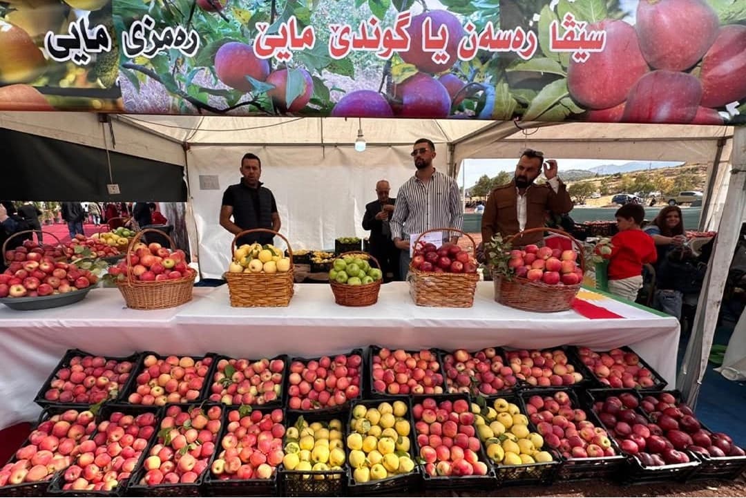 فێستیڤاڵی سێوی بەرواری باڵا