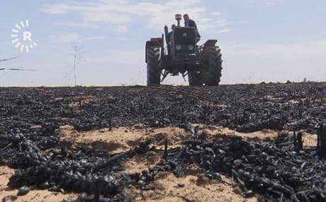 Li Kerkûkê zêdetirî 3 hezar donim zeviyên cotkarên Kurd şewitîne